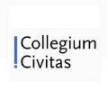 Вид логотипа - Collegium Civitas