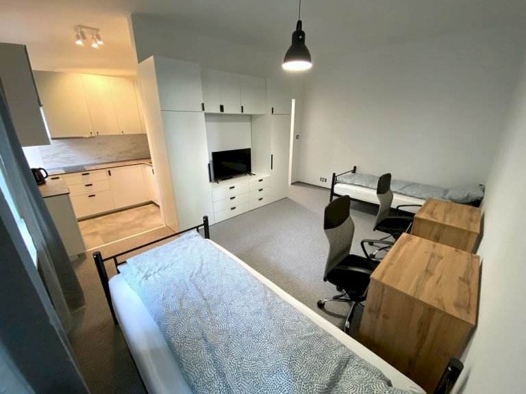 Апартаменти з двома ліжками, телевізором та кухнею у Student-House Domaniewska у Варшаві